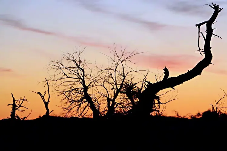 这世界没留恋看着天空死在眼前是什么歌
