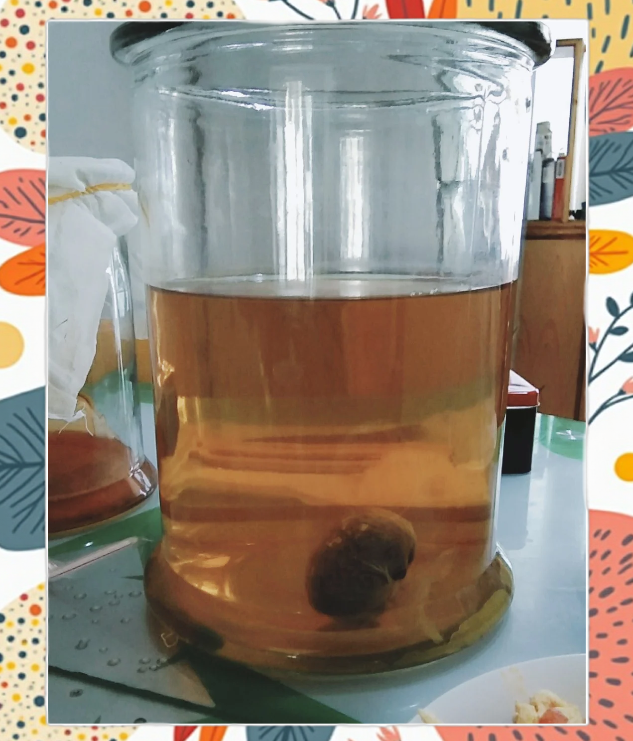 红茶菌怎么制作方法窍门