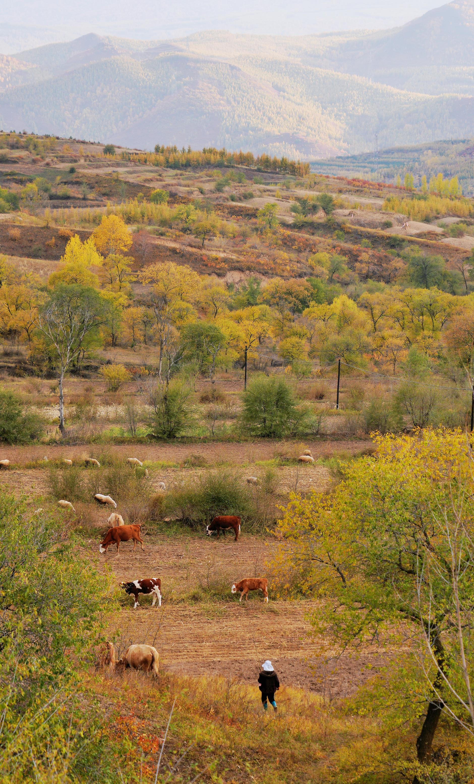 围场旅游的最佳时间几月份去围场旅游好