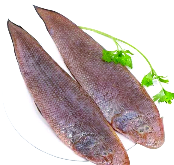 龙利鱼和巴沙鱼的区别