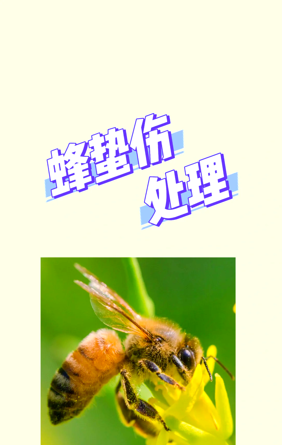 马蜂蛰后多久就安全了