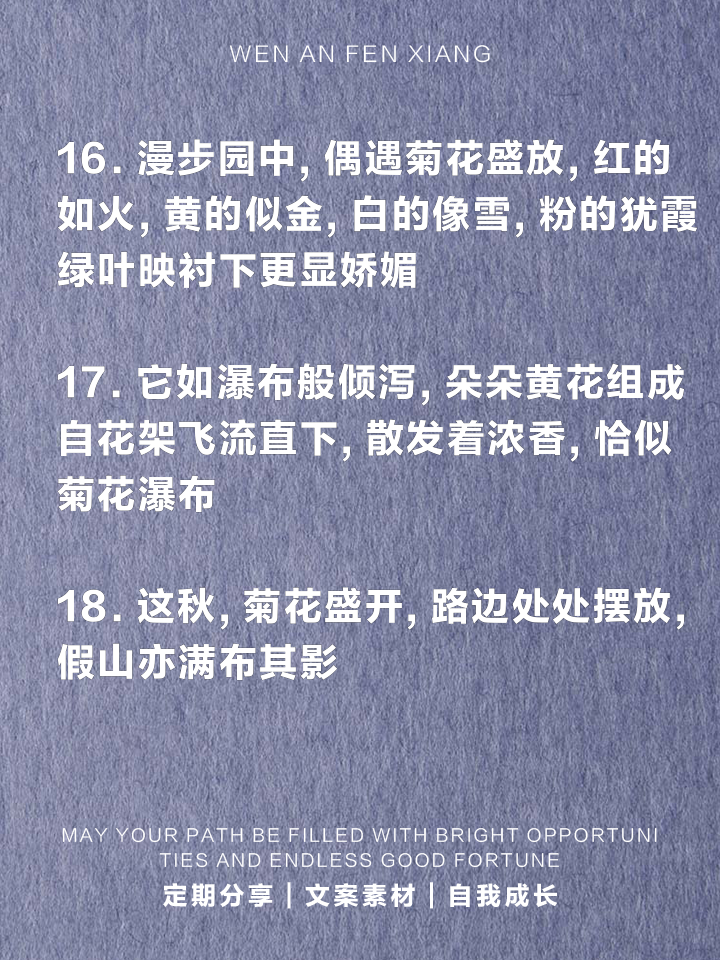 朋友圈赞美菊花的优美句子