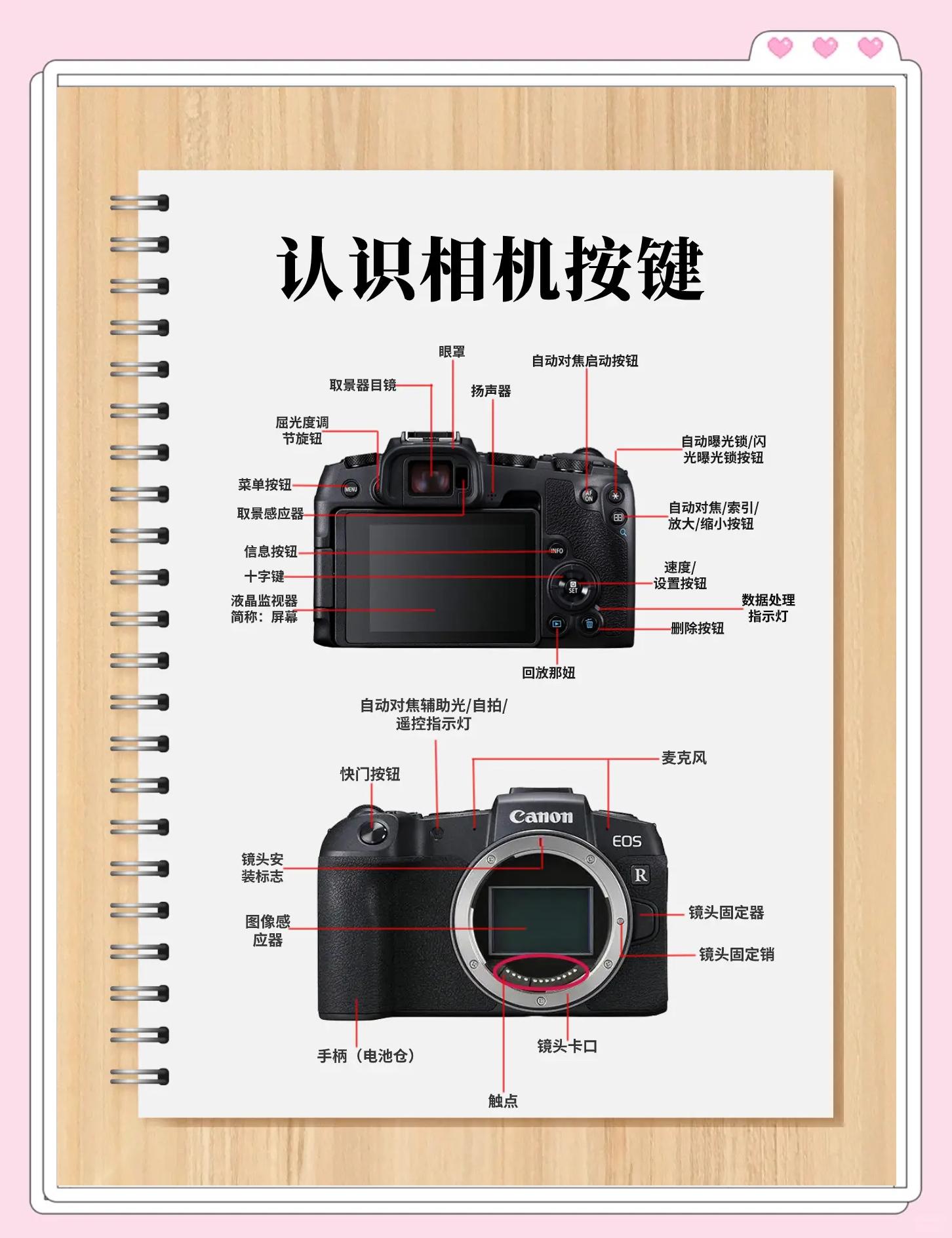适合摄影初学者的10个摄影小技巧