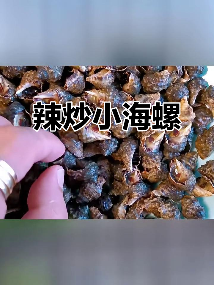 爆炒海螺丝怎么做爆炒海螺丝的做法