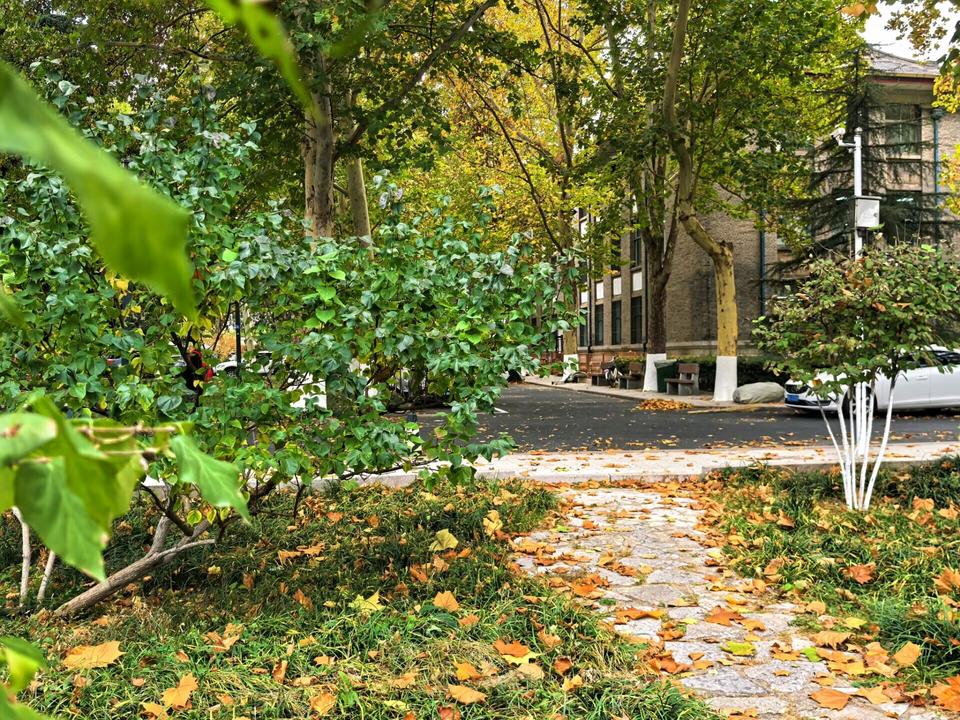 幽径的基础解释是什么