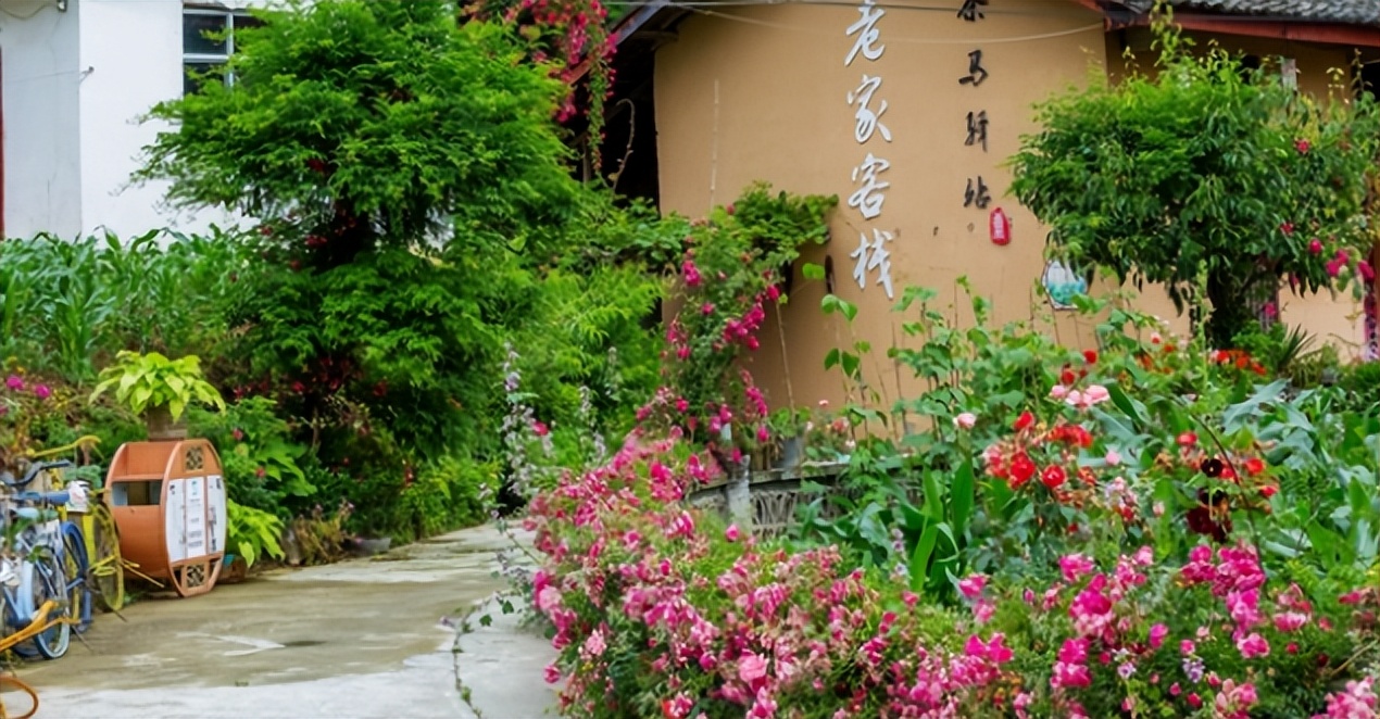 幽径的基础解释是什么