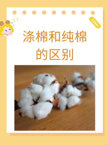 纯棉和全棉的区别是什么