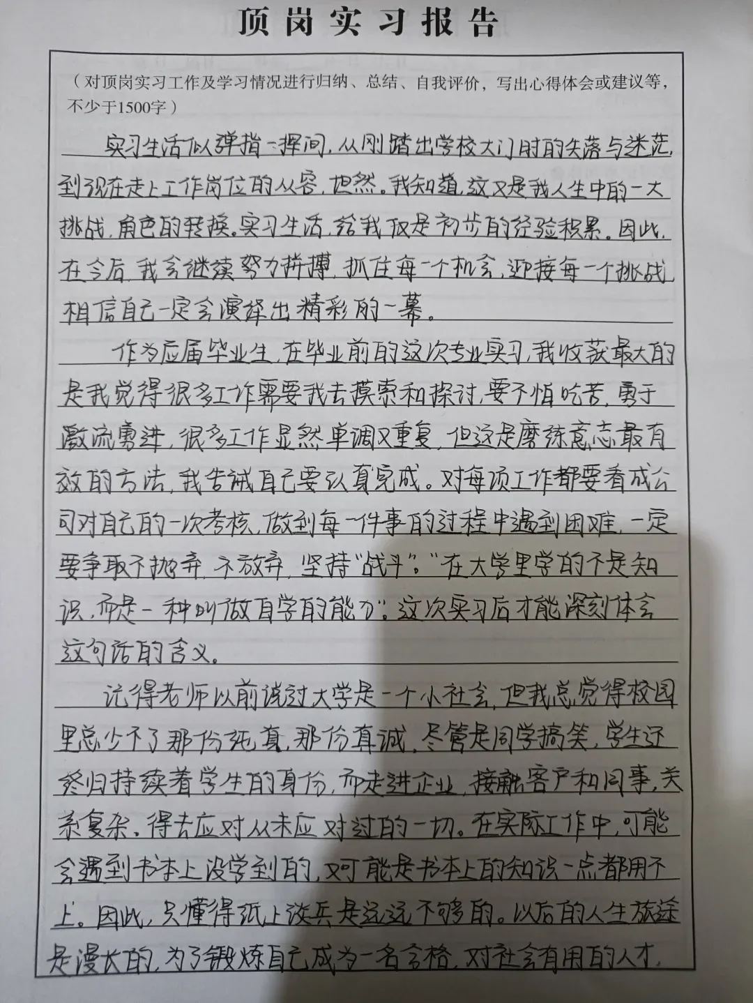 实习报告总结3000字