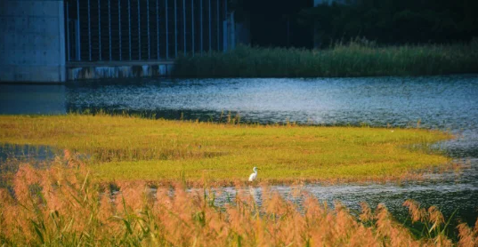 元朗区属于哪里香港元朗区是农村的吗