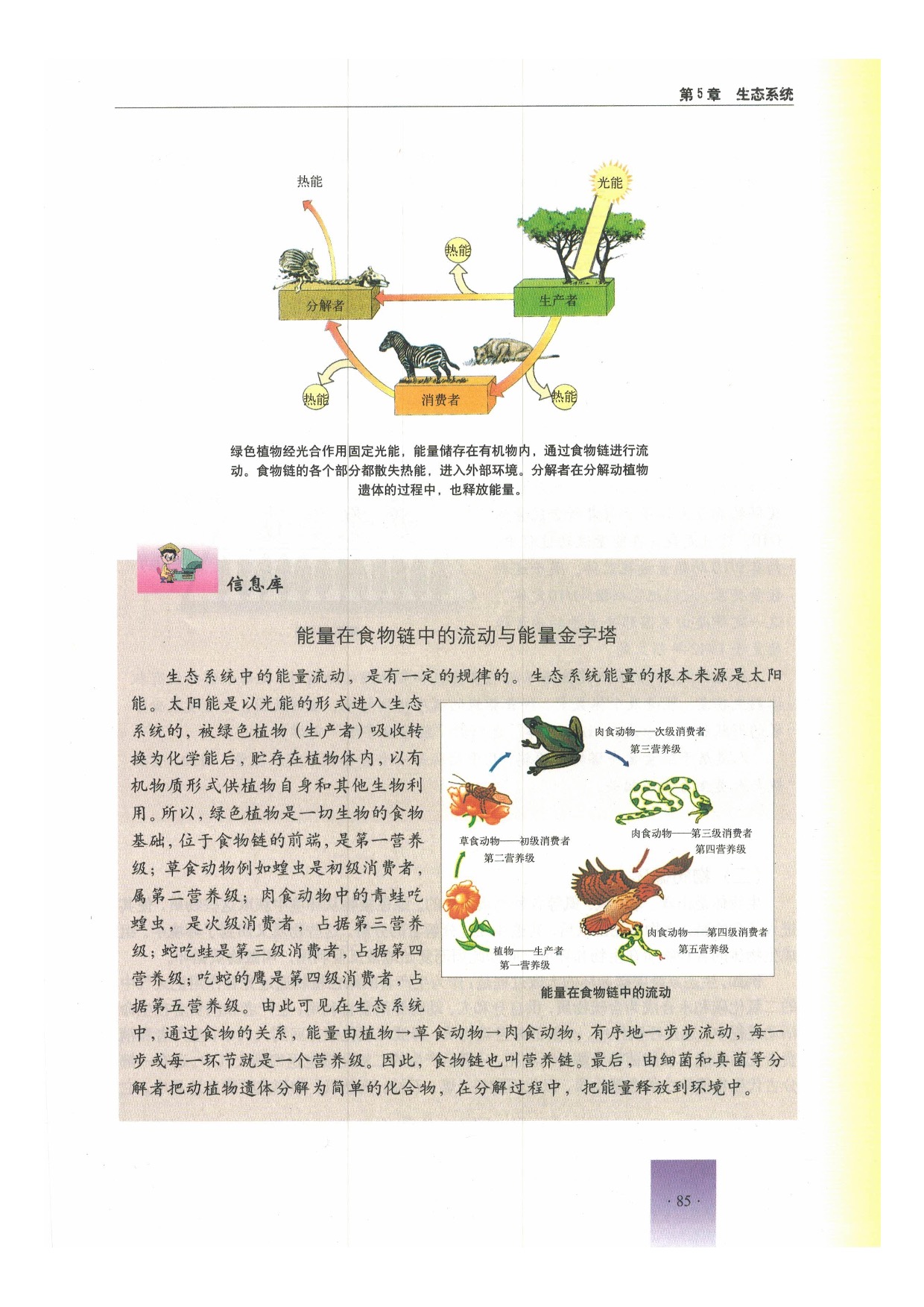 生态系统的功能包括哪些