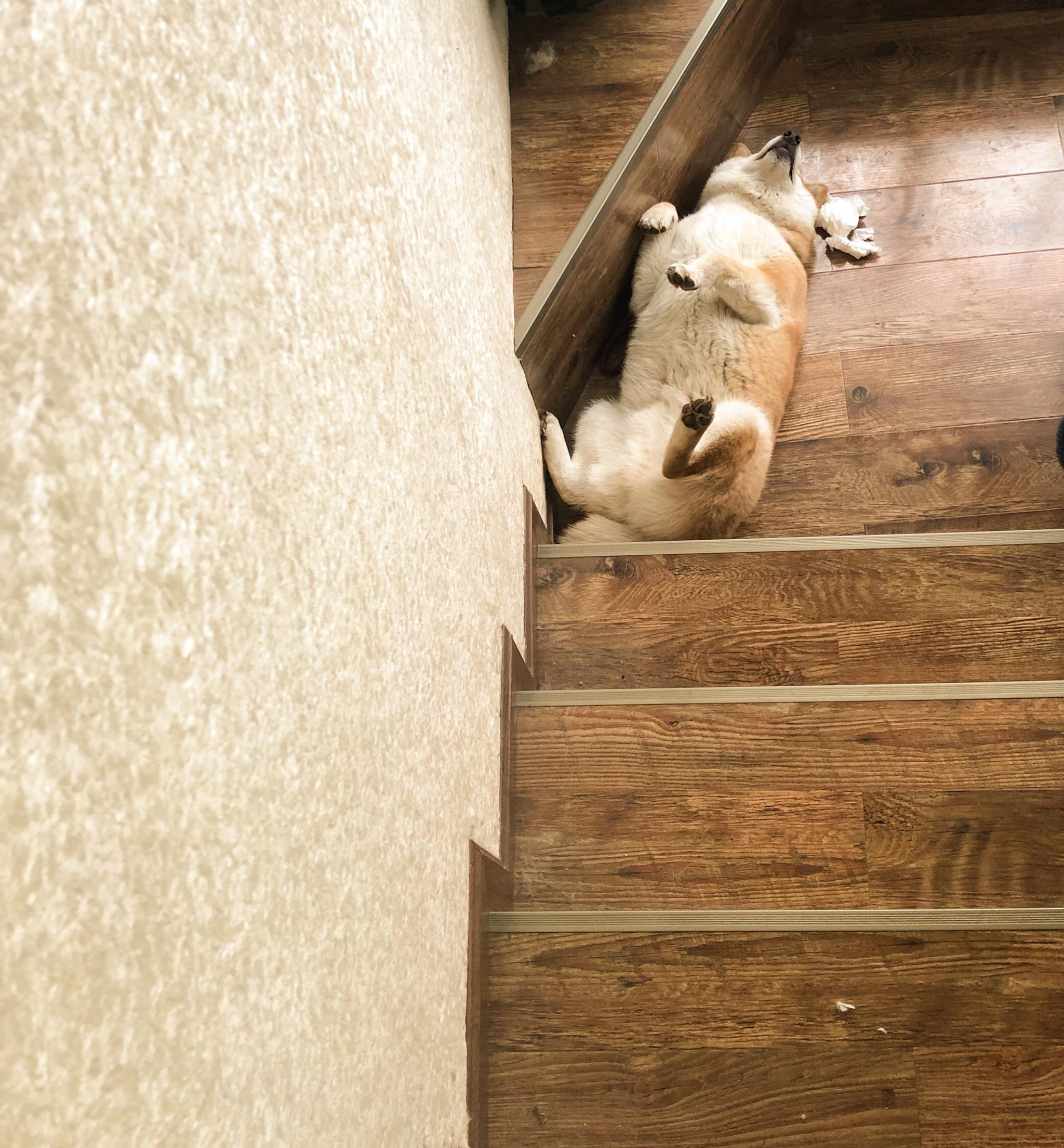 梦见爬楼梯很艰难爬不上去