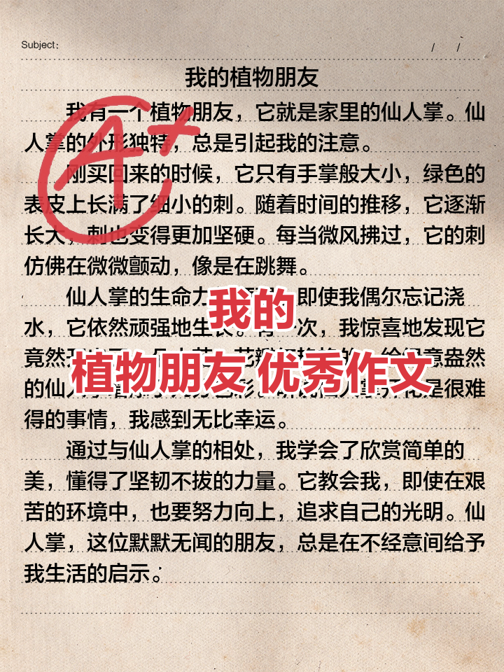 我的植物朋友的作文500字