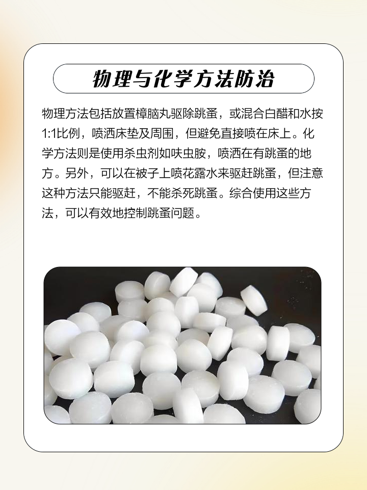 卧室去除跳蚤的最有效方法