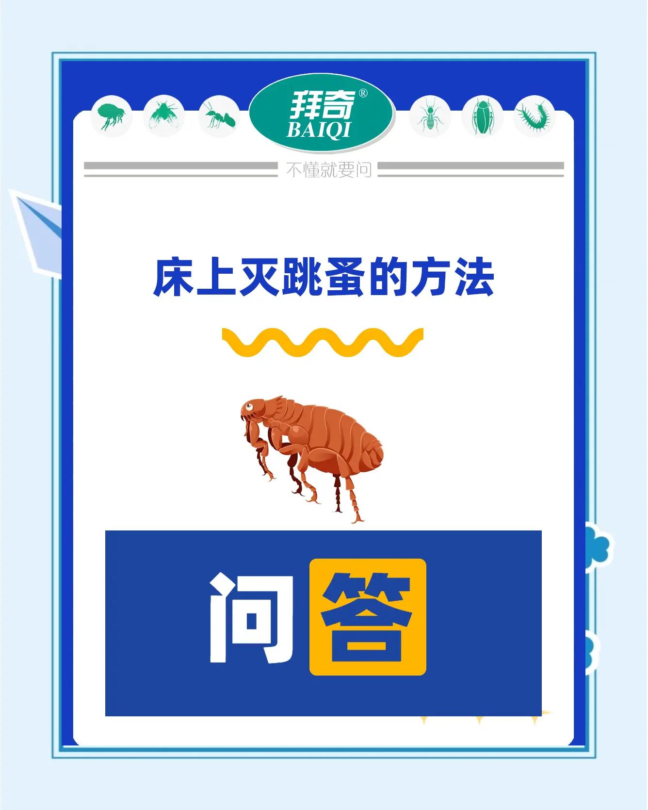 卧室去除跳蚤的最有效方法