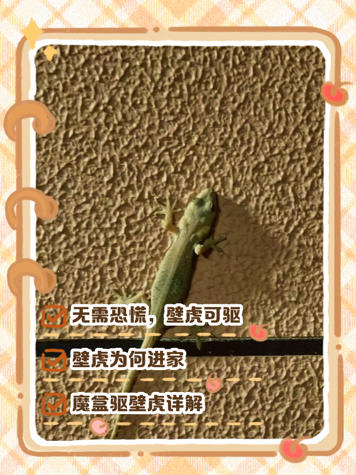 壁虎进家是吉祥还是凶