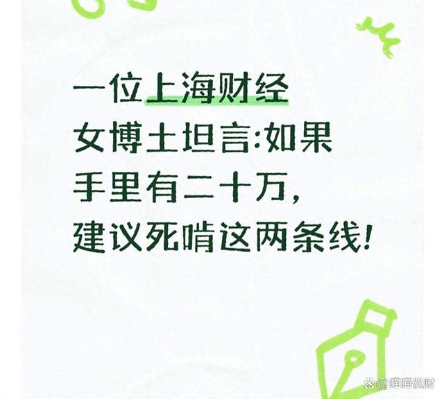 手里有20万投资做什么项目