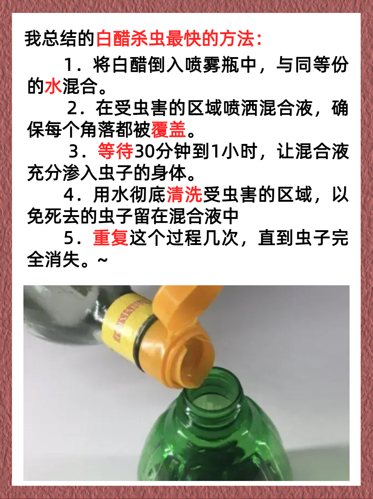 灭苍蝇最有效的方法推荐