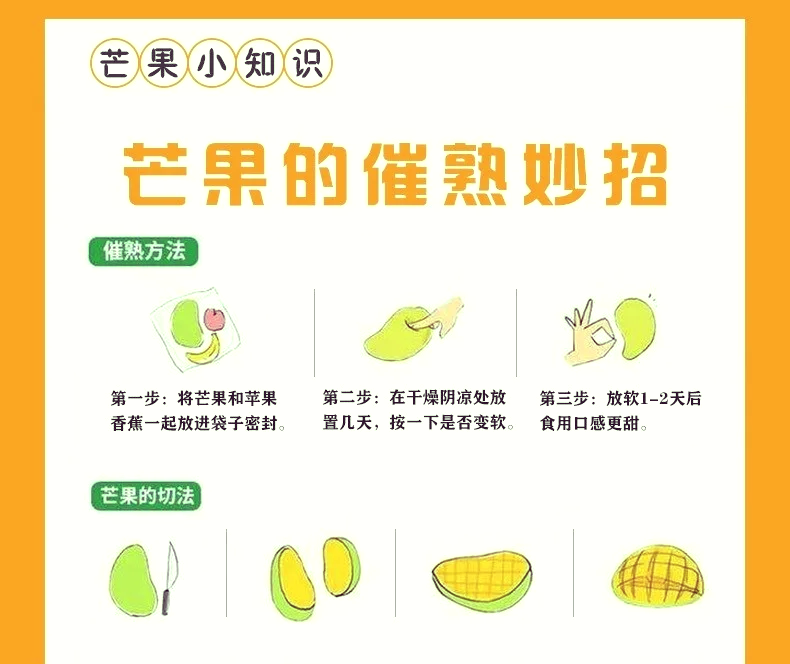 怎么种芒果种芒果的方法