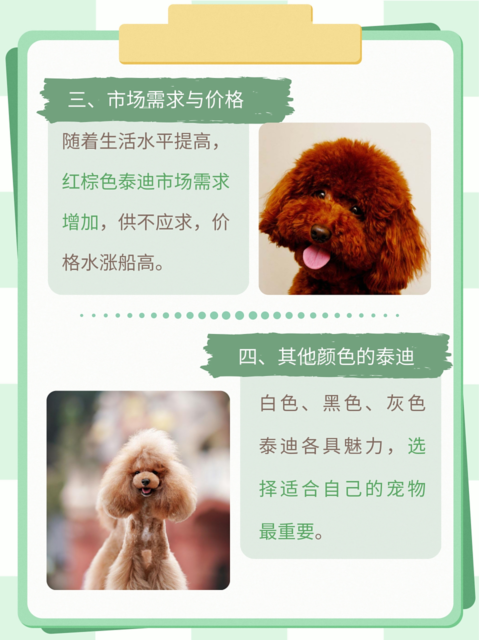 泰迪狗名字大全洋气的