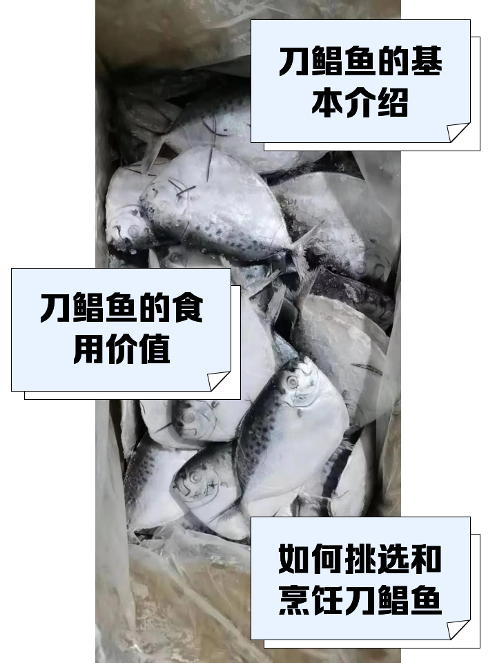 鲳鱼的营养价值和禁忌是什么