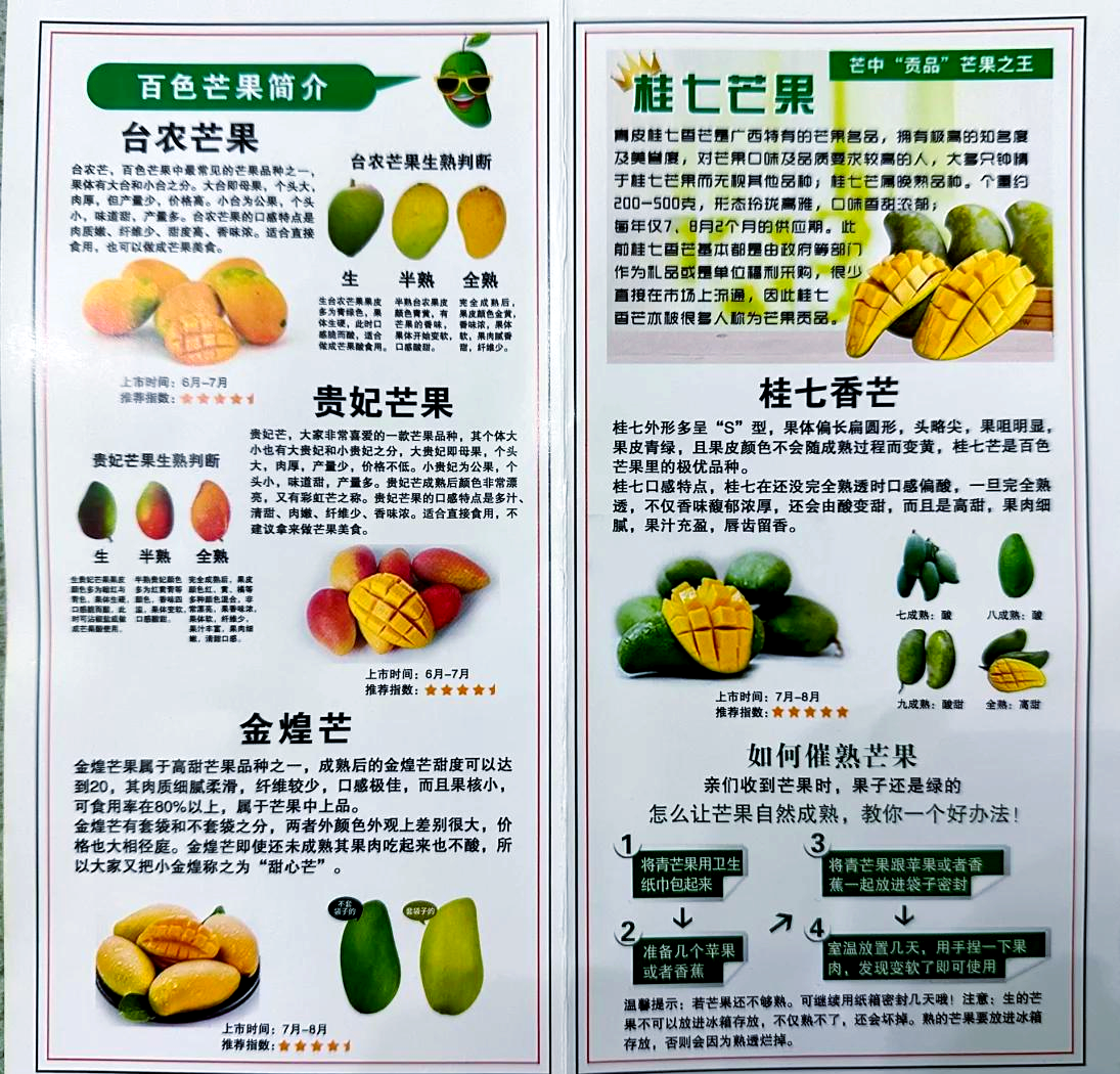 种植芒果方法简单介绍