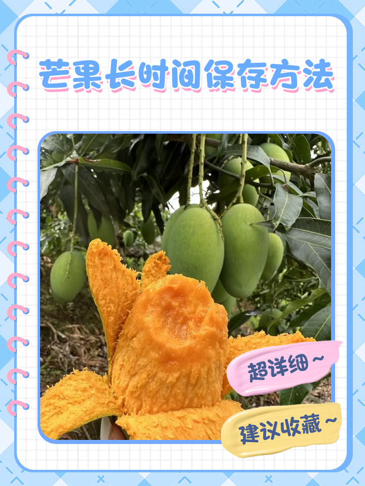 种植芒果方法简单介绍