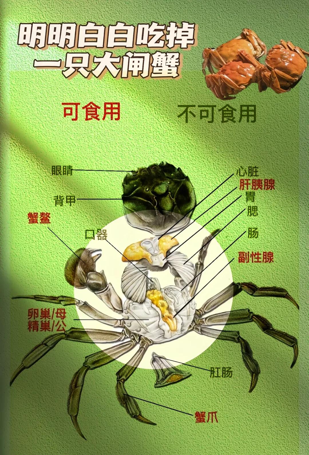 吃螃蟹后不能吃的水果有哪些?