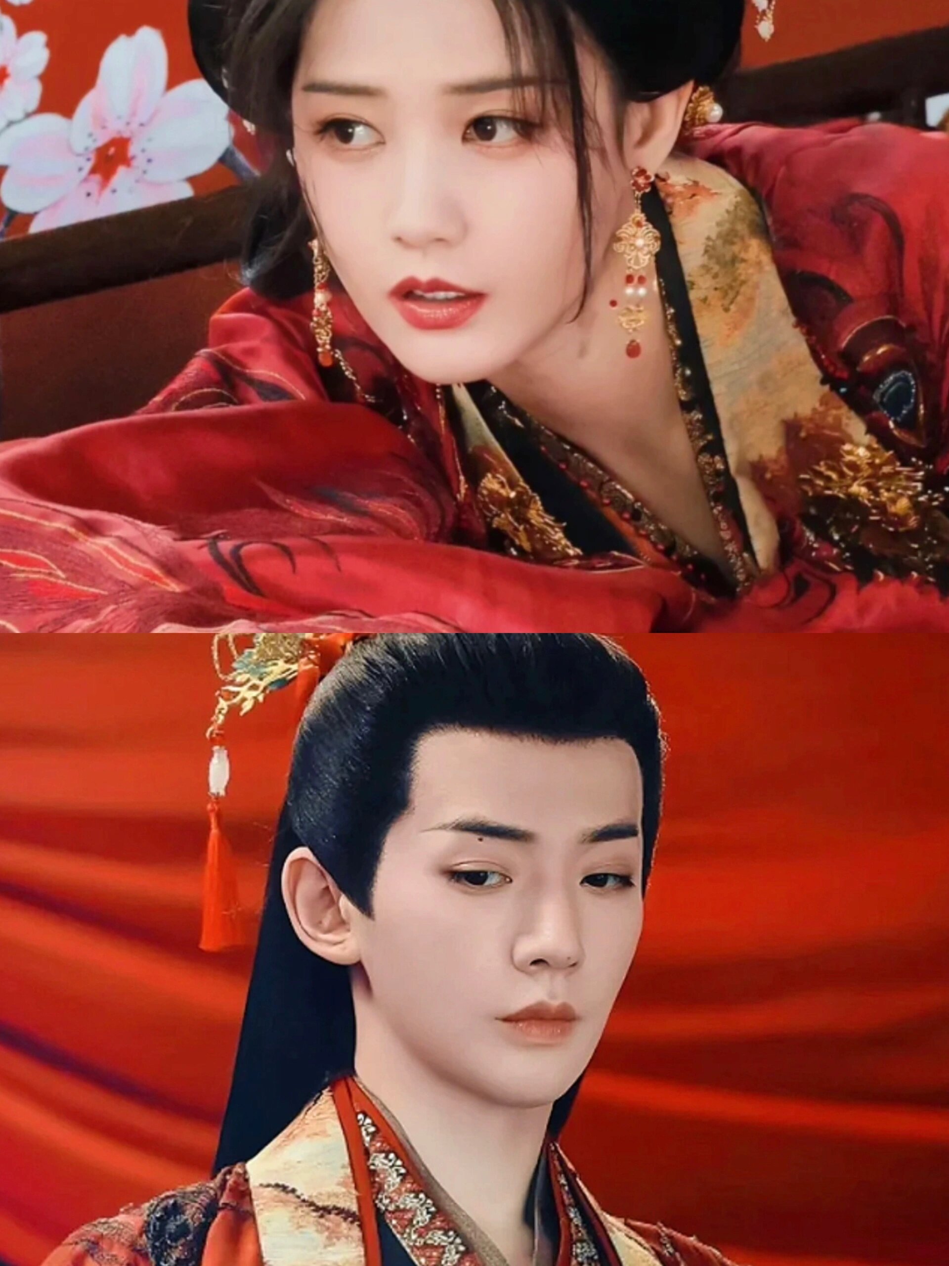 茶朔洵是秀丽的未婚夫吗