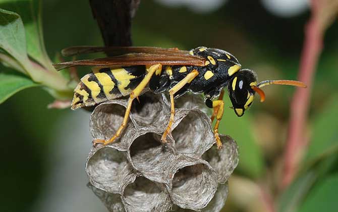 2025年11月17日 第5页