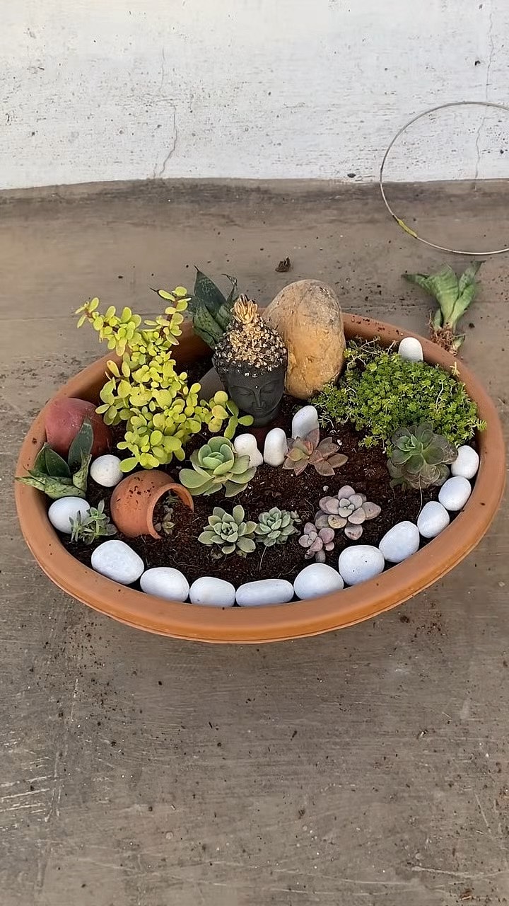 关于多肉植物拼盘的方法