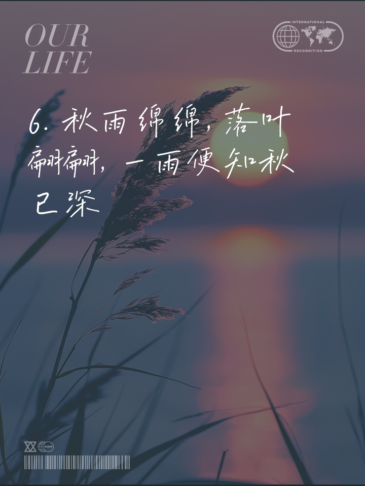 有哪些借落叶抒发感情的说说