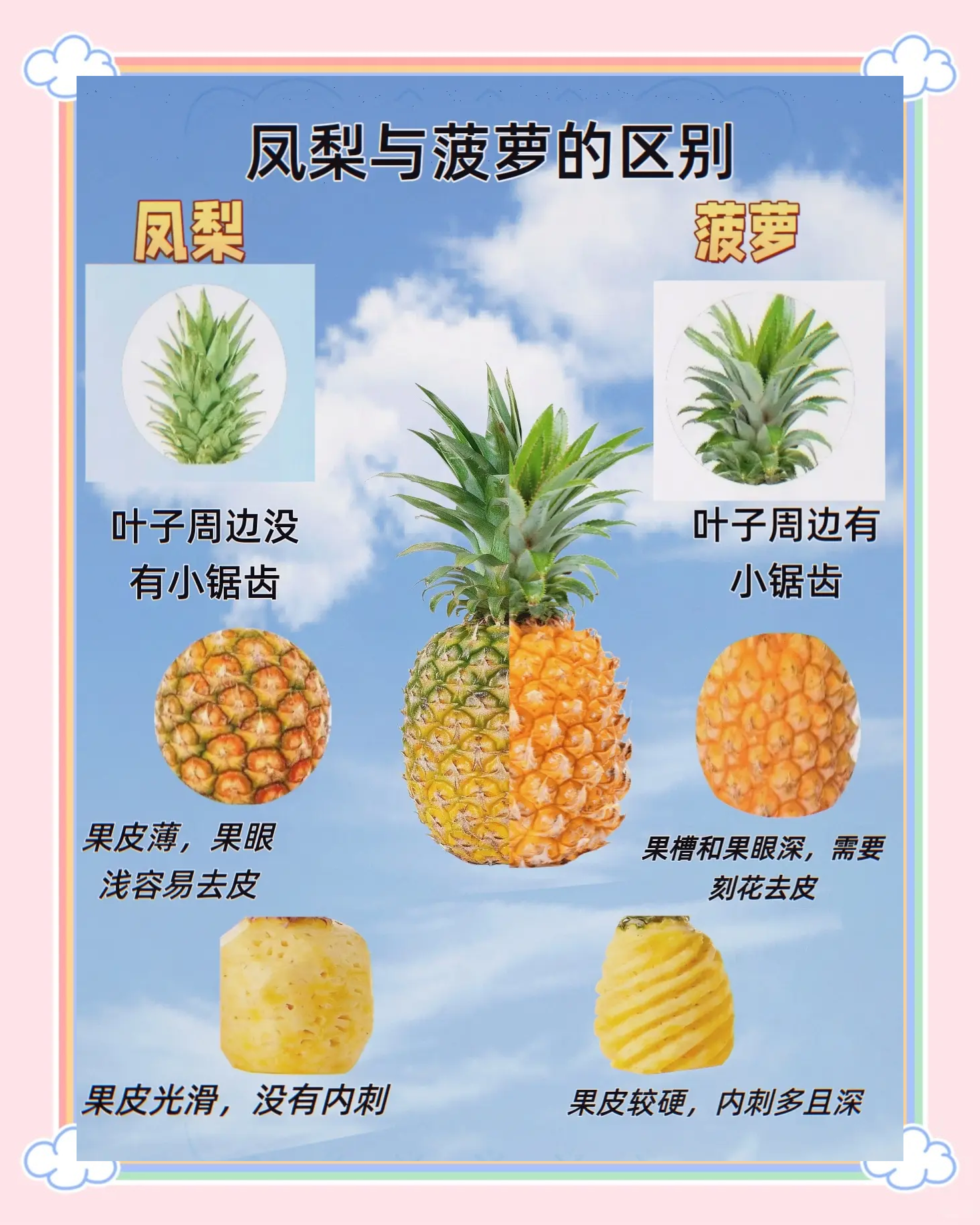 凤梨和菠萝的区别是什么区别