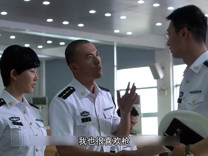 电视剧火蓝刀锋里向羽的详细资料