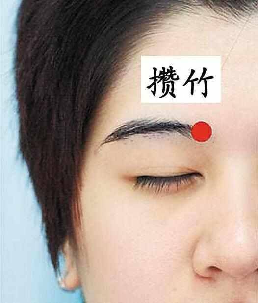 攒竹的准确位置图和作用