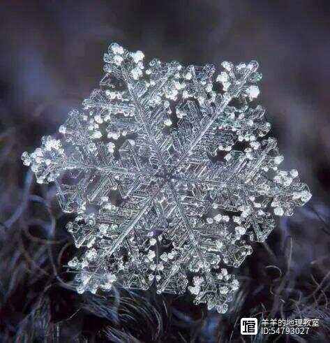 雪的密度雪的密度是多少