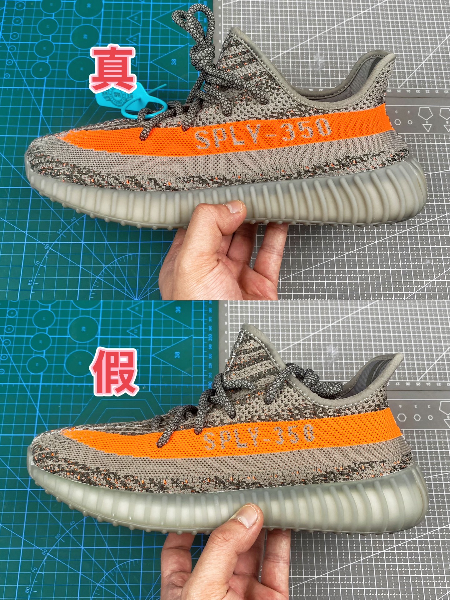 椰子350家庭清洗方法