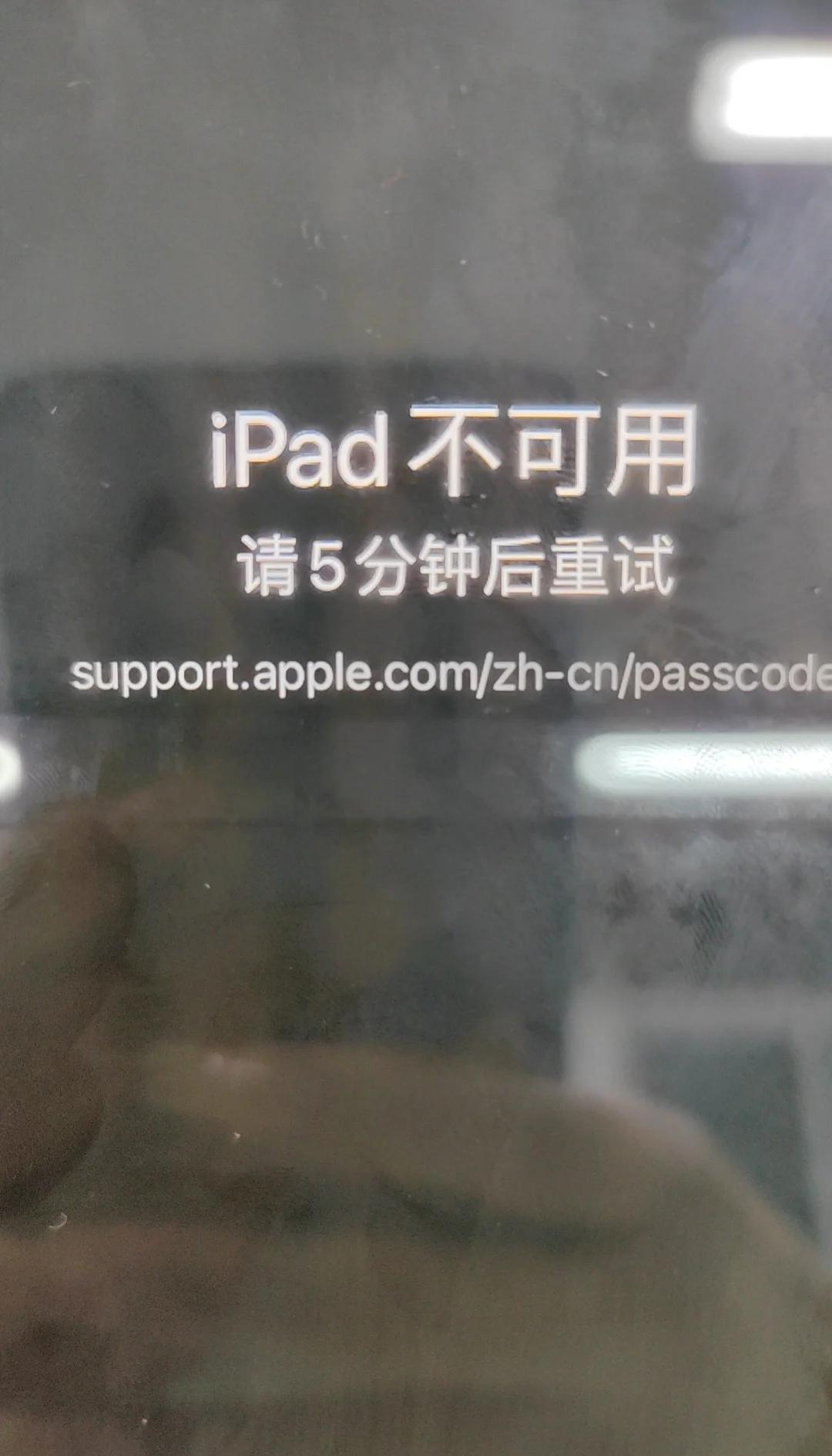 ipad已停用快速解锁