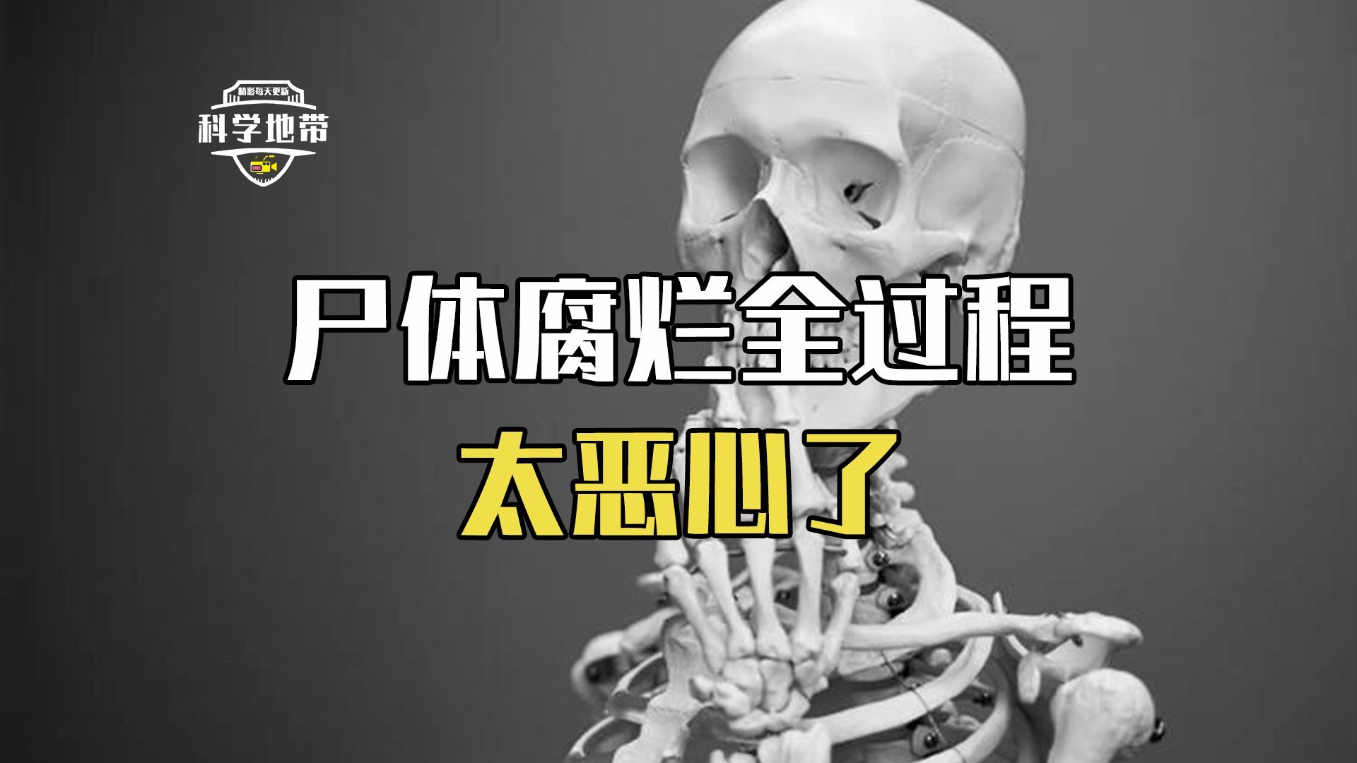 人死了会去哪里人死去处