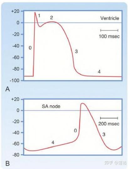 什么是电势能什么是电势