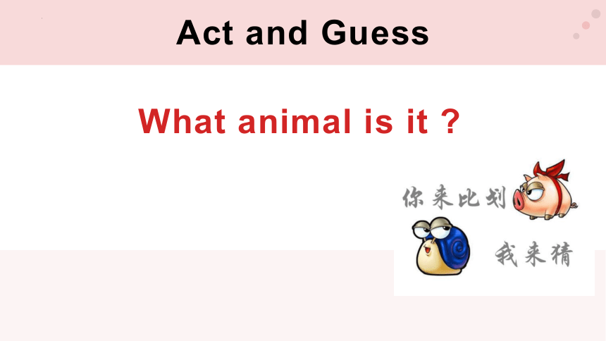animals的读音