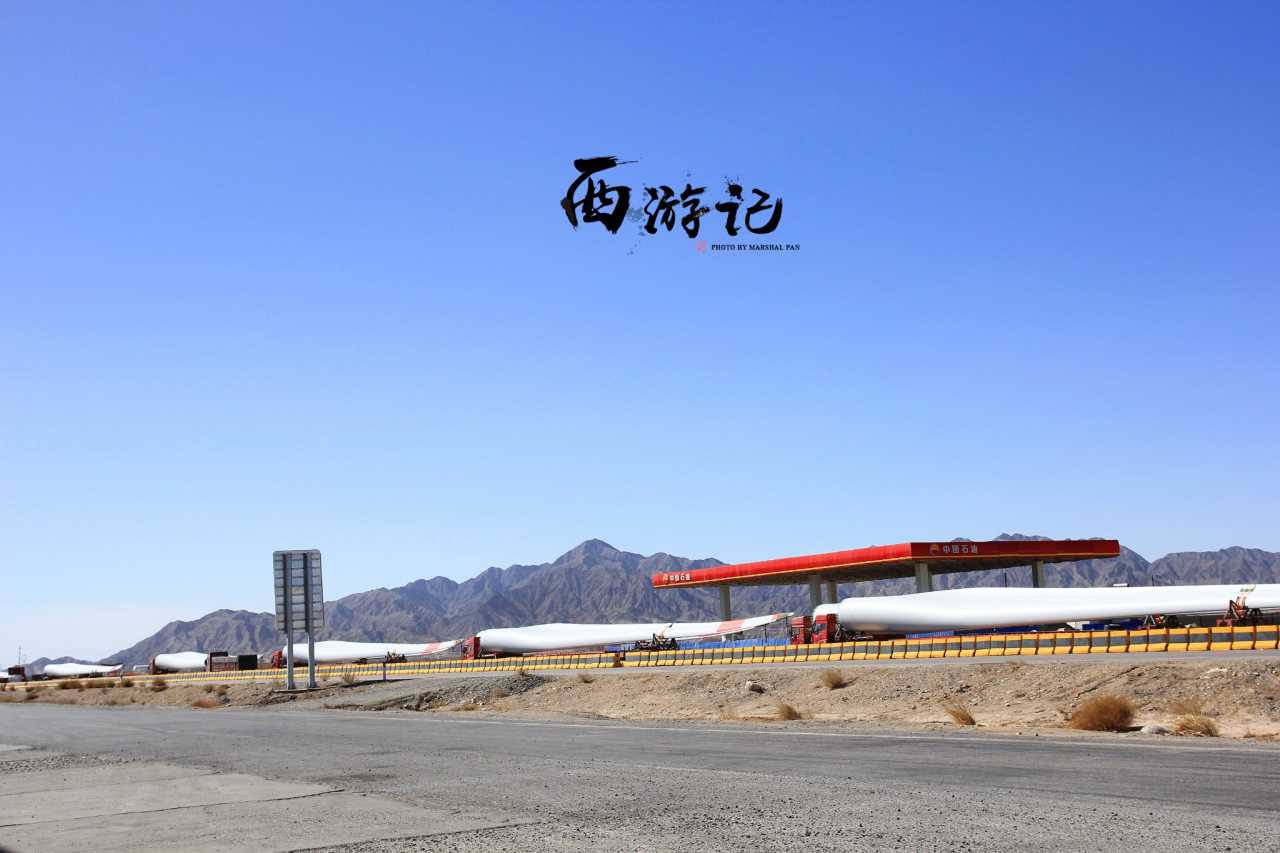 我们去大草原的湖边等候鸟飞回来歌词