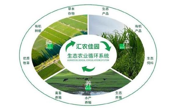 生态农业具体有哪些特点