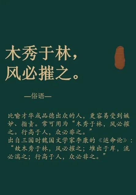 木秀于林风必摧之是什么意思