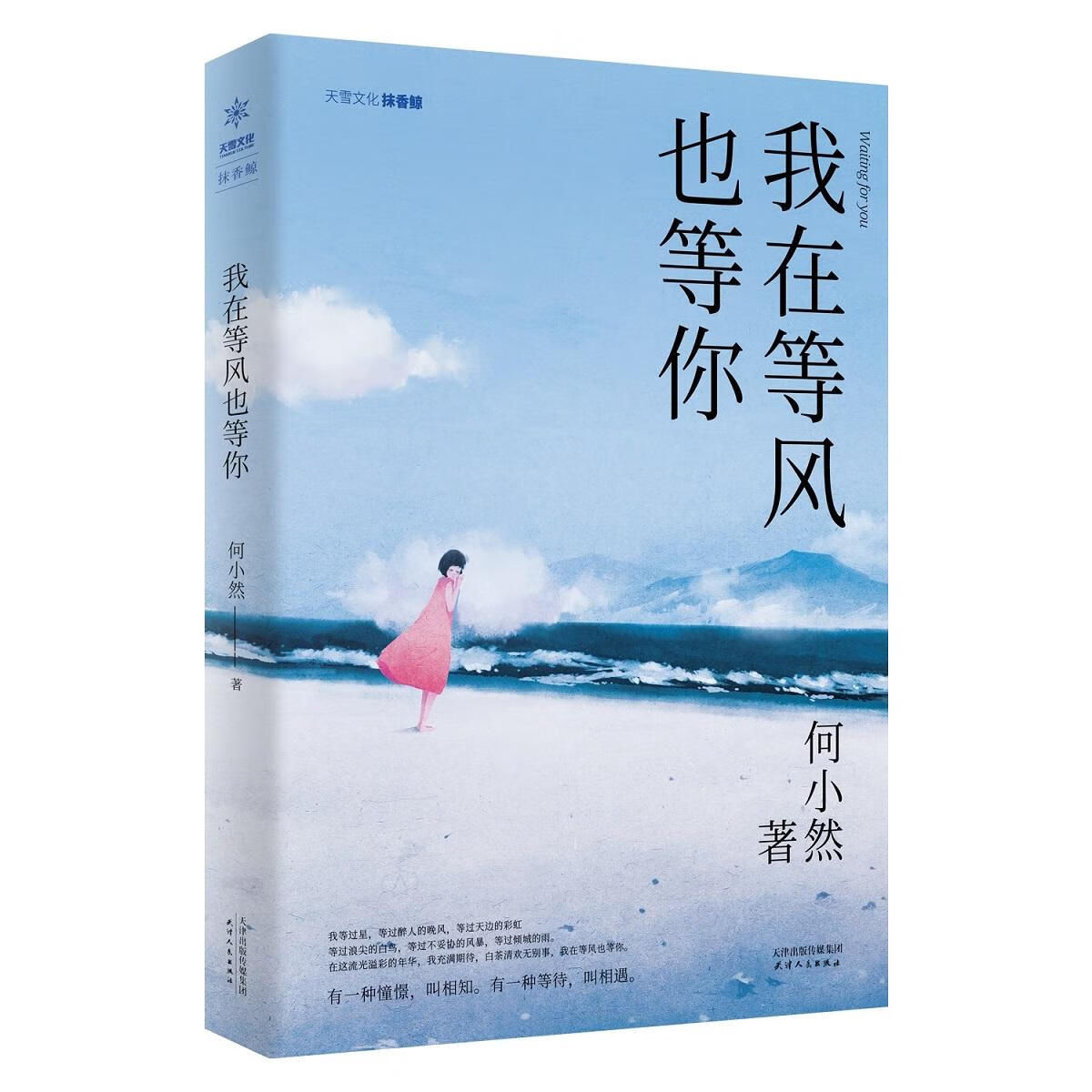 我在等风也在等你上一句什么意思