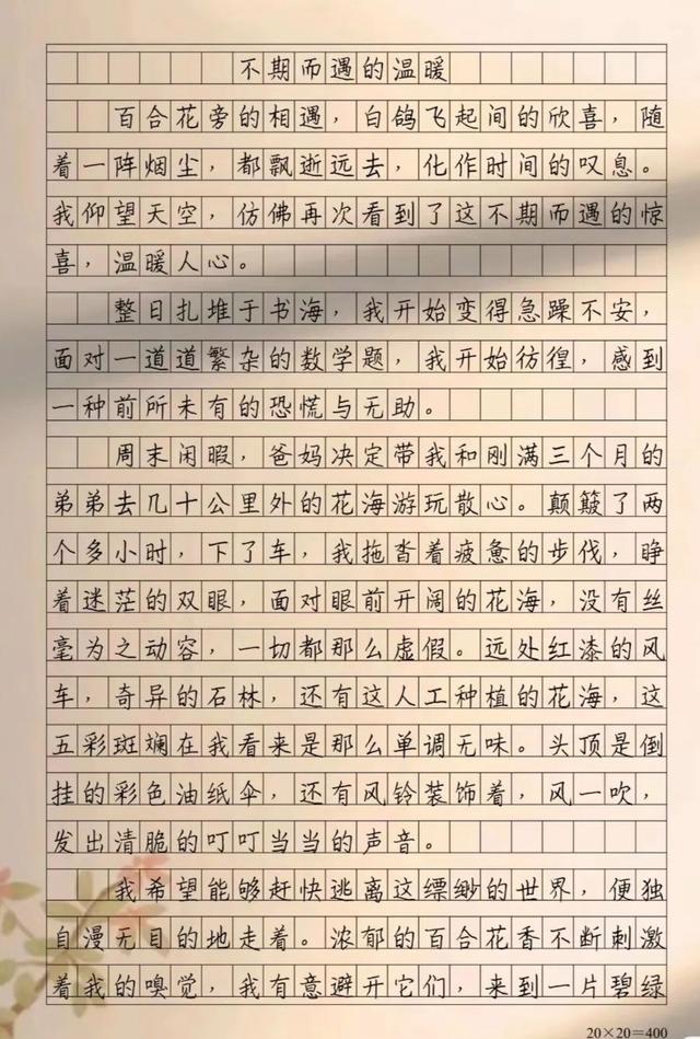不期而遇的温暖作文600字