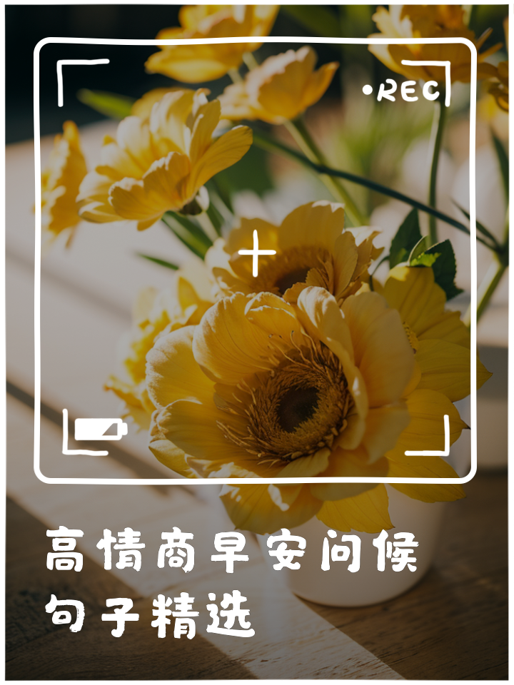 如何高情商?回复早上好