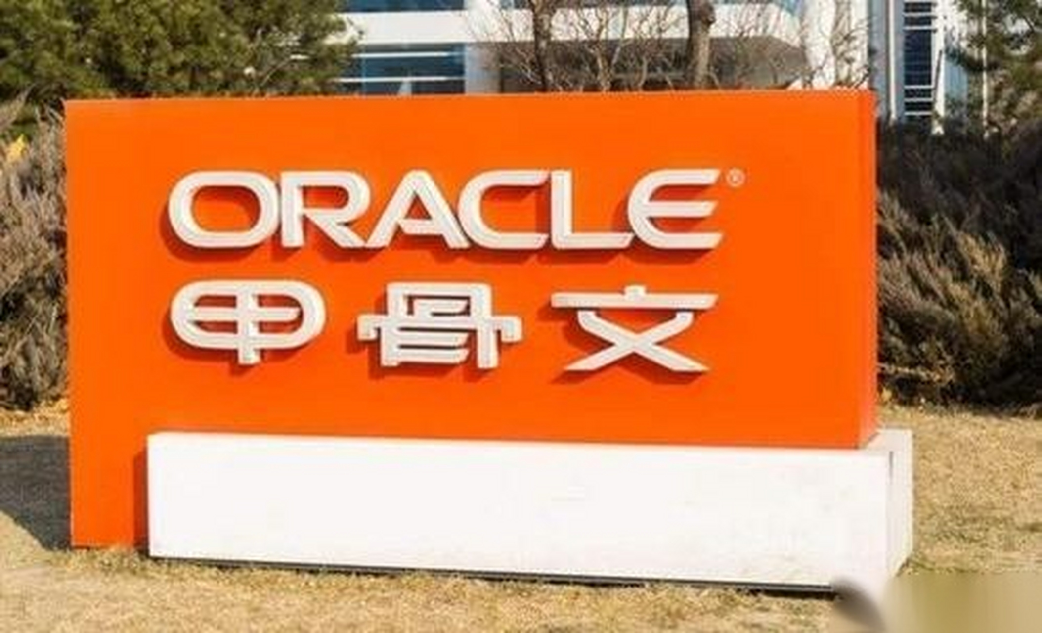 美国公司为什么叫甲骨文