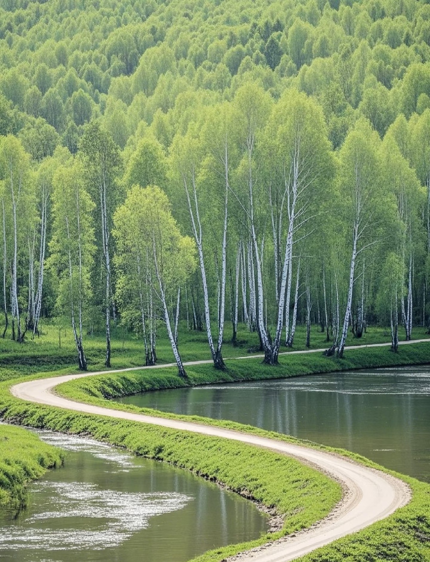 弯弯的小路像什么补充句子