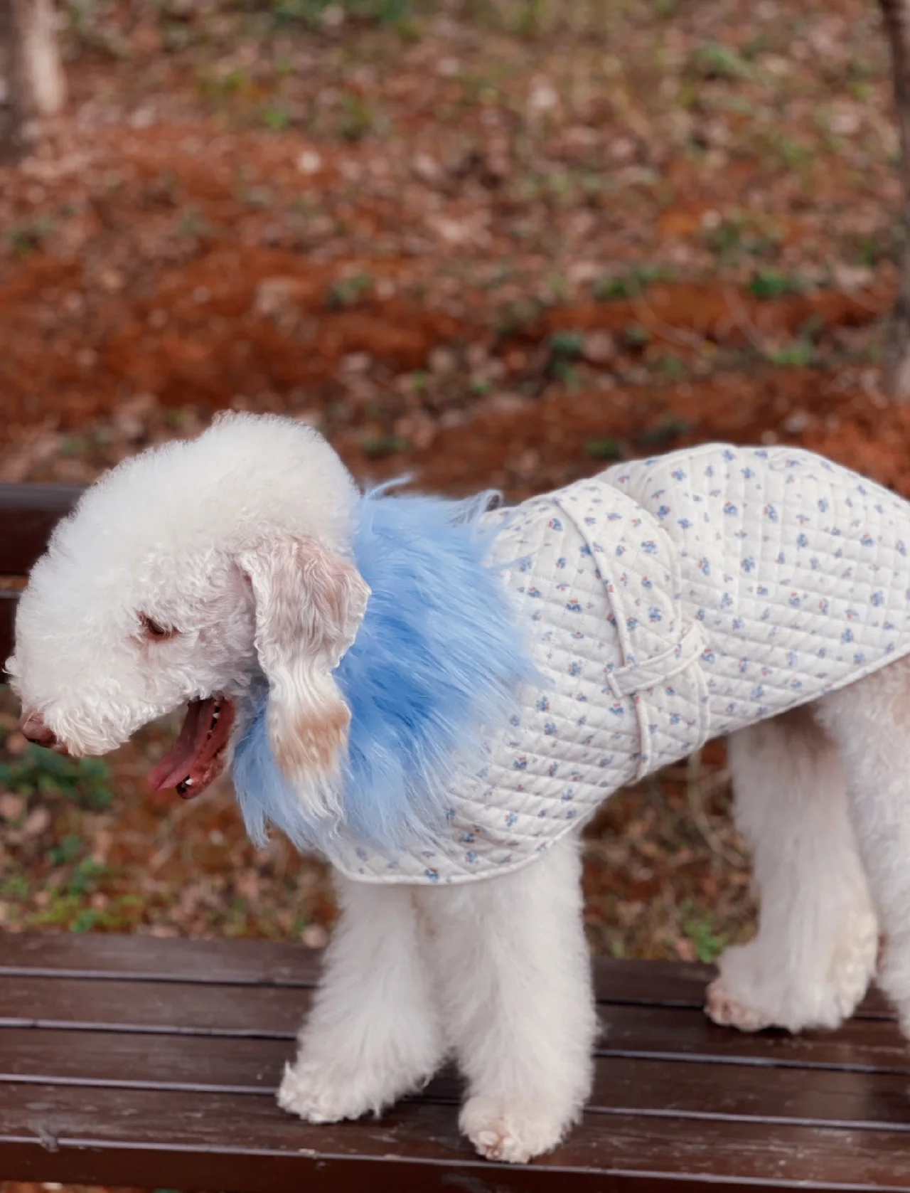 宠物狗狗的衣服怎么做