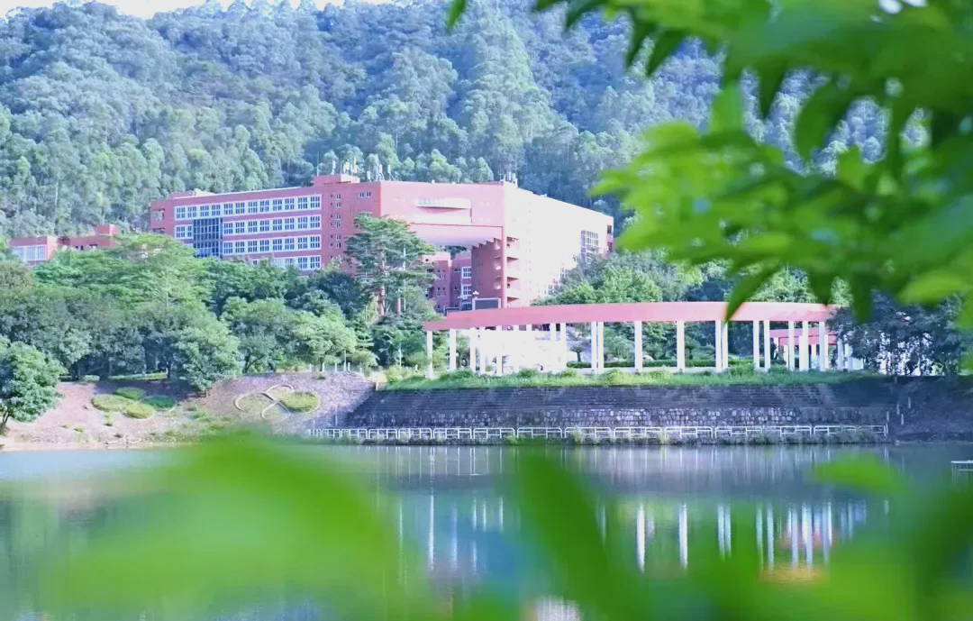 2025年11月20日 第2页